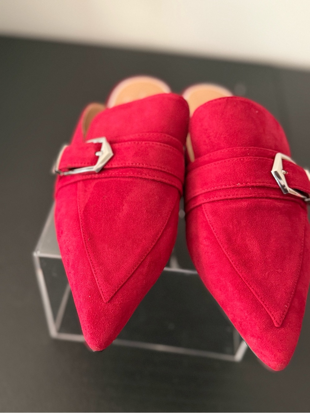 Paolo Red Suede Pointed Toe Mules with Silver Buckle